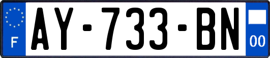 AY-733-BN