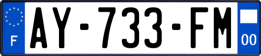 AY-733-FM