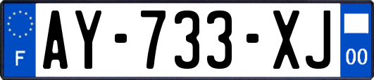 AY-733-XJ