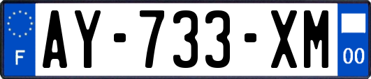 AY-733-XM
