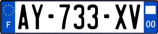 AY-733-XV