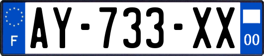 AY-733-XX