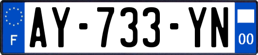 AY-733-YN