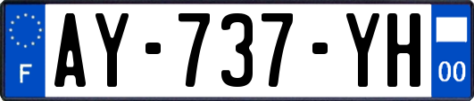 AY-737-YH