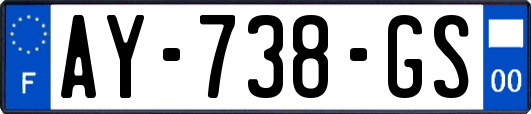 AY-738-GS
