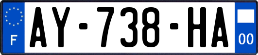 AY-738-HA