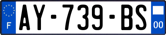 AY-739-BS