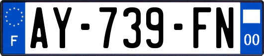 AY-739-FN