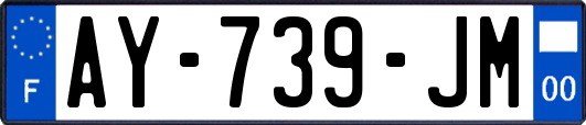 AY-739-JM