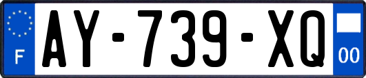AY-739-XQ