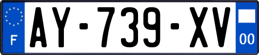 AY-739-XV