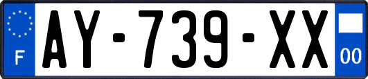 AY-739-XX