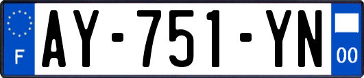 AY-751-YN