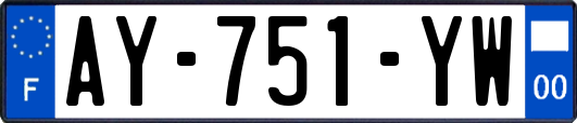 AY-751-YW