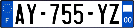 AY-755-YZ