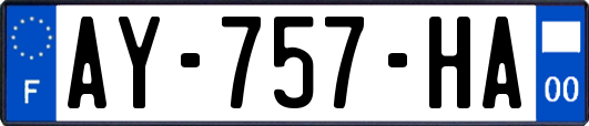 AY-757-HA