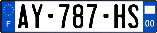 AY-787-HS
