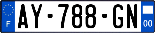 AY-788-GN