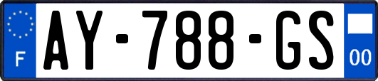 AY-788-GS