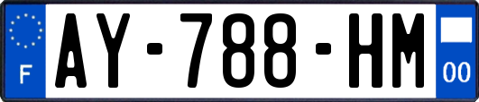 AY-788-HM