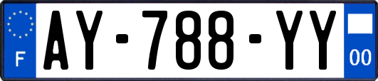 AY-788-YY