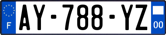 AY-788-YZ