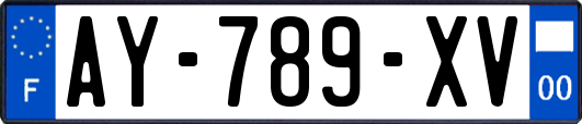 AY-789-XV