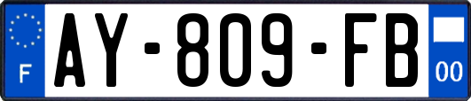AY-809-FB