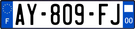 AY-809-FJ