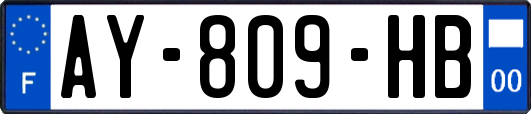 AY-809-HB