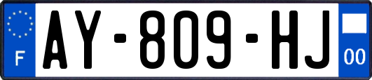 AY-809-HJ