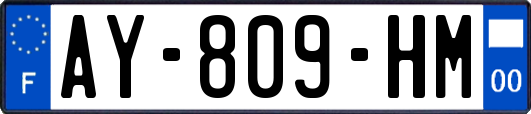 AY-809-HM