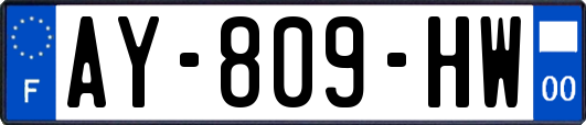 AY-809-HW