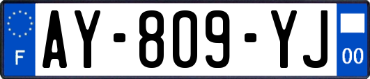 AY-809-YJ