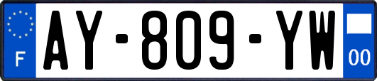 AY-809-YW