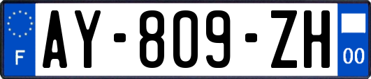 AY-809-ZH