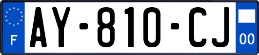 AY-810-CJ