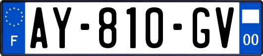 AY-810-GV