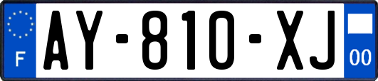AY-810-XJ