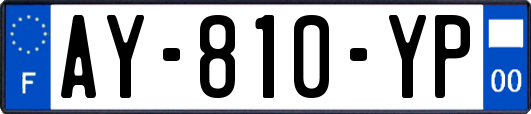 AY-810-YP