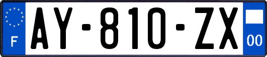 AY-810-ZX
