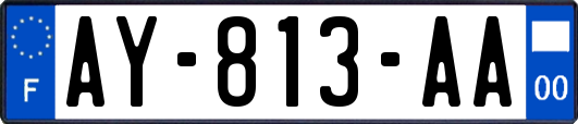 AY-813-AA