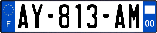 AY-813-AM