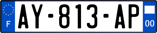 AY-813-AP