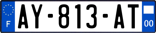 AY-813-AT