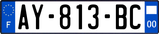 AY-813-BC