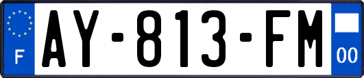 AY-813-FM