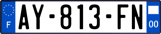 AY-813-FN