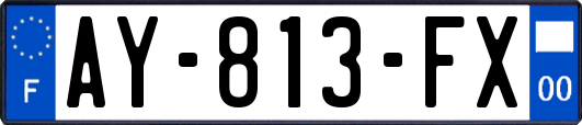 AY-813-FX