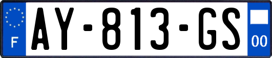 AY-813-GS